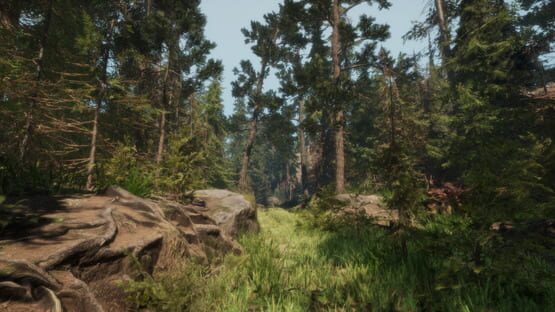 Screenshot A Walk in the Woods: VR