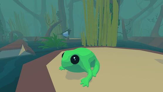 Screenshot Focus Froggy