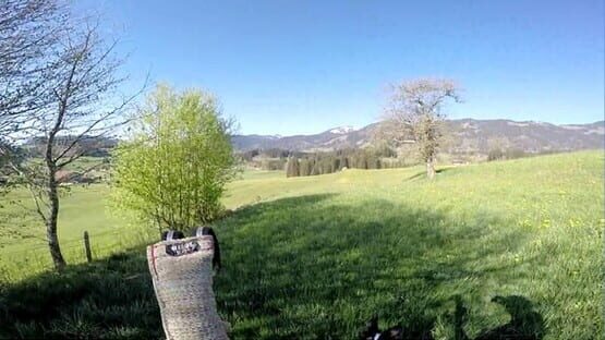 Screenshot BorderCollie Game