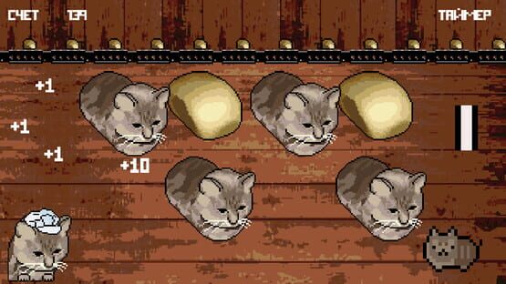 Screenshot Cat or Bread?