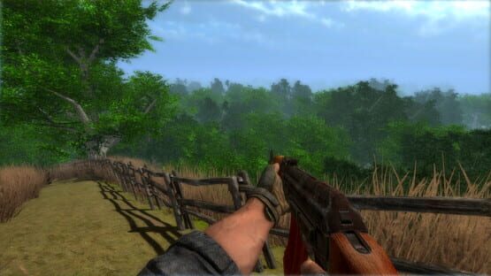 Screenshot Dragon Storm