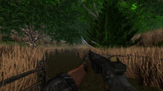 Screenshot Dragon Storm
