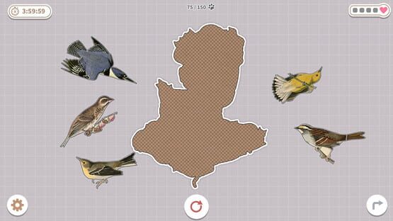 Screenshot Brids Huddled Together