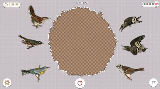 Screenshot Brids Huddled Together