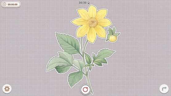 Screenshot Plants Huddled Together