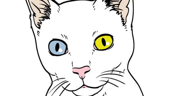 Screenshot Cat Simulator