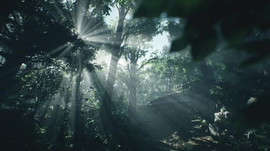 Screenshot Wakamarina Valley, New Zealand