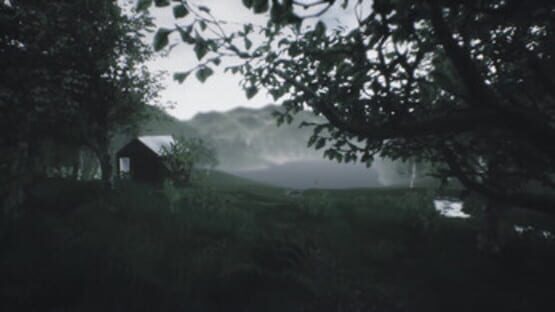 Screenshot Scenic Forest Valley