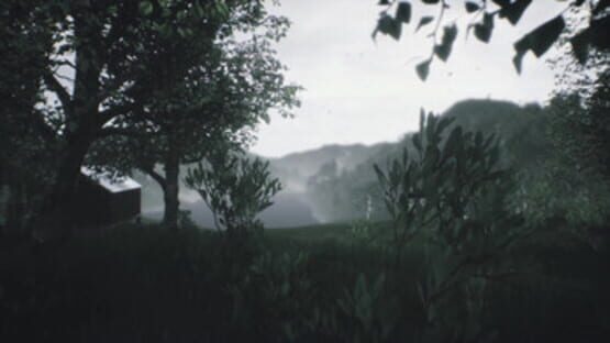 Screenshot Scenic Forest Valley