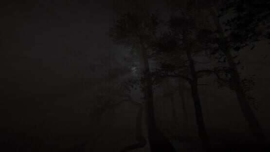 Screenshot Unveiling