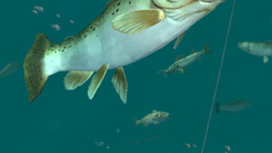 Screenshot Rapala Fishing: Daily Catch