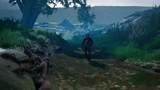 Screenshot Fox XII