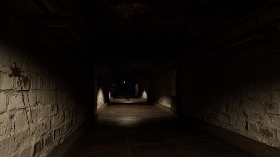 Screenshot Shadow's Descent