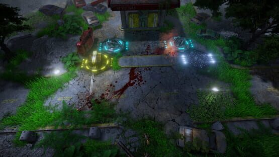 Screenshot Brink of Extinction