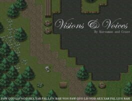 Cover Visions & Voices
