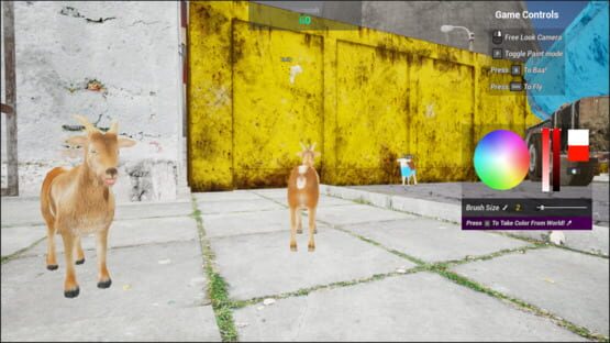 Screenshot Animal Chameleon