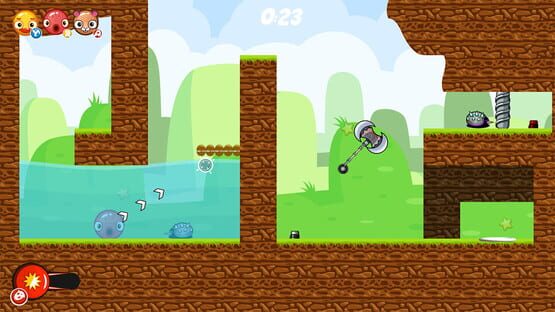 Screenshot Cool Animals