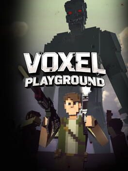 Cover Voxel Playground