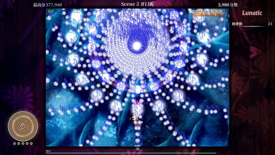Screenshot Touhou Iyuushou: What the Bullet Hell?!