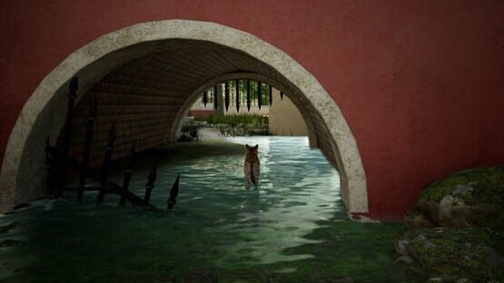Screenshot Curiosity