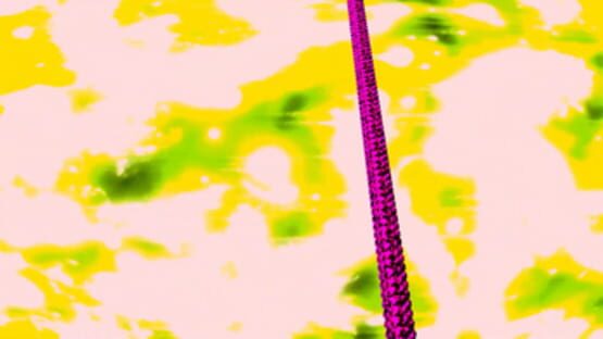 Screenshot Exophilie