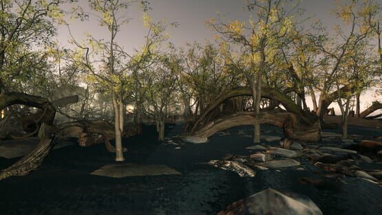 Screenshot Toward The Ice