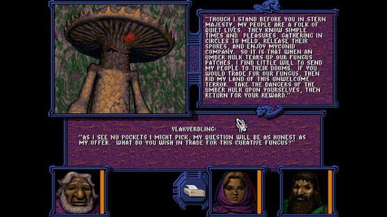 Screenshot Menzoberranzan