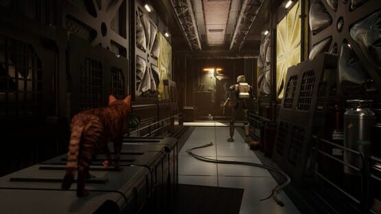 Screenshot Catfall