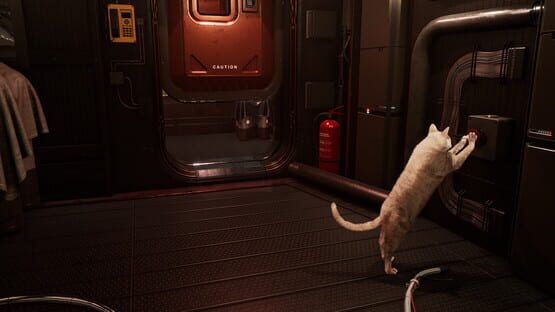 Screenshot Catfall