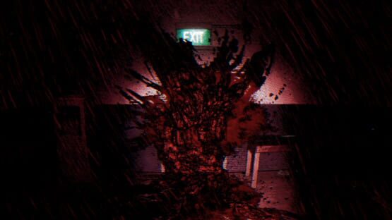 Screenshot Terminal Error
