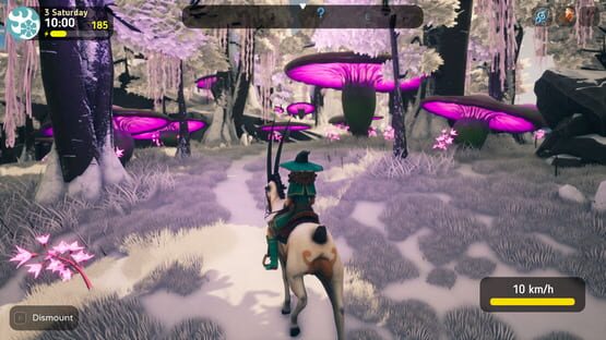 Screenshot The Witch of Fern Island