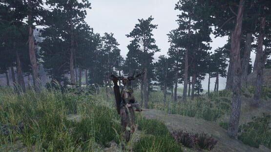 Screenshot Wilderness Edge