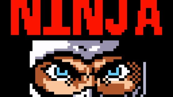 Screenshot Micro Ninja