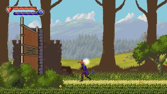 Screenshot The Masked Mage