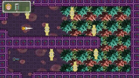 Screenshot Born Race