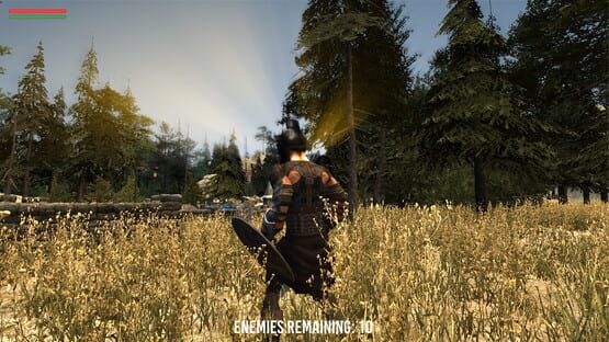 Screenshot Barbarian Souls
