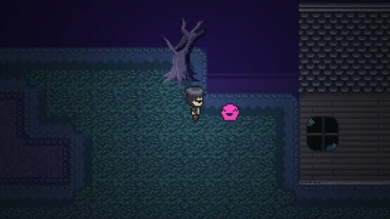 Screenshot DashBored