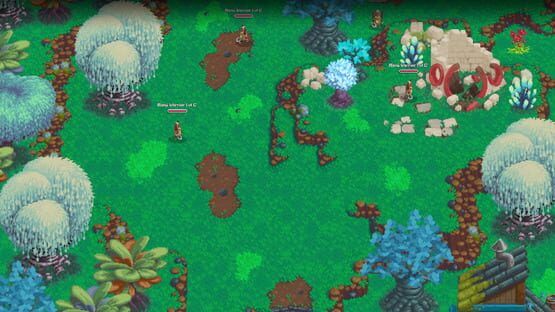 Screenshot Naïca
