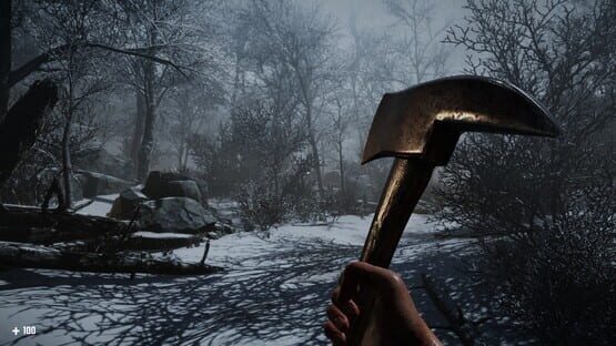 Screenshot Frigore