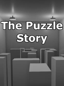 Cover The Puzzle Story