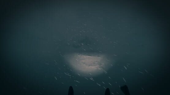 Screenshot The Last Ski Trip