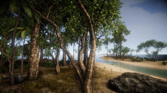Screenshot The Ocean