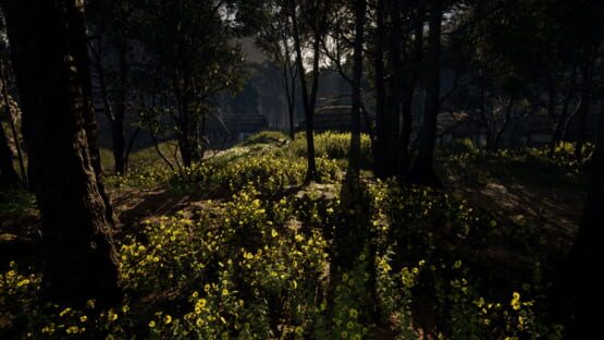 Screenshot Dwellink: War of the Nine