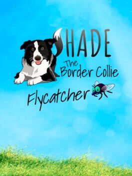 Cover Shade: The Border Collie Flycatcher
