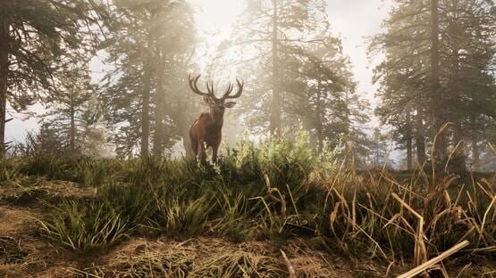 Screenshot A Twisted Path To Renown
