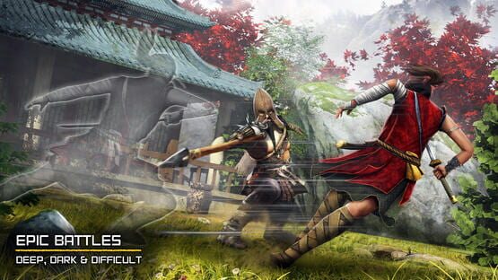 Screenshot Ryuko: Legend of Shadow Hunter