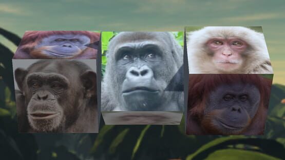 Screenshot Gorilla Slot Infinity