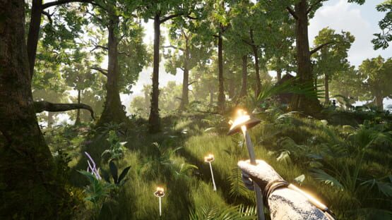 Screenshot The Last Explorer