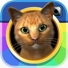 Cover Instakitty 3D