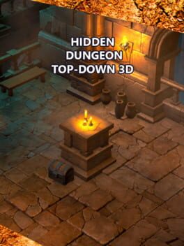 Cover Hidden Dungeon Top-Down 3D